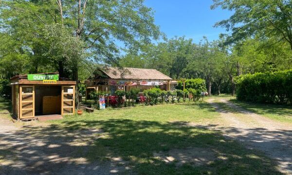 camping-du-vieux-pont-familial-et-nature-en-ardeche