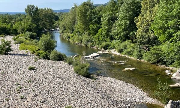 camping-proche-de-la-riviere-ardeche-ruoms