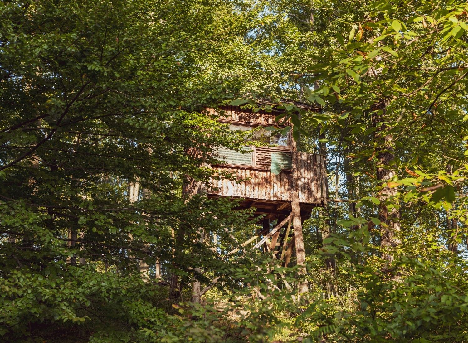cabane dans les arbres hébergement insolite camping