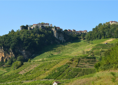 camping-jura-vignobles-chateau-chalon-limmars-13 vacances sous tente dans les vignobles jurassiens