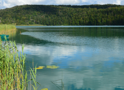 lac-du-jura-le-frasnois-slimmars-13 vacances aux pays des lacs du Jura