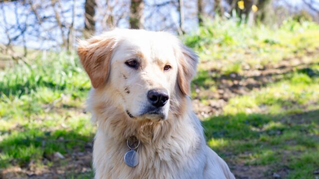 IMG_9991-Copier