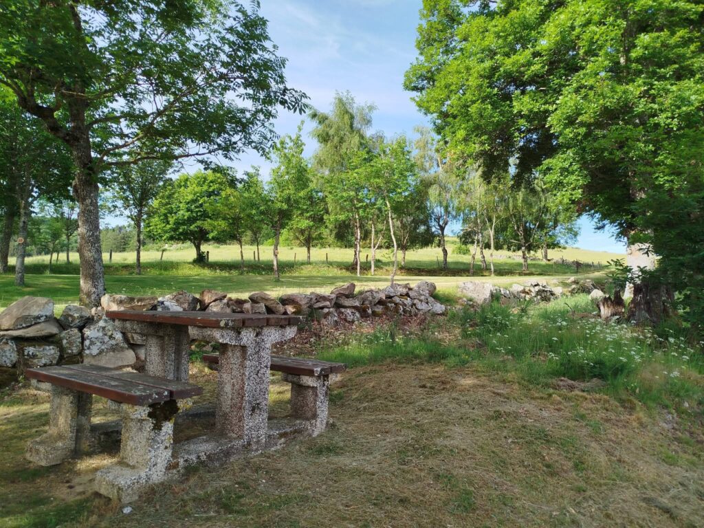 banc-pic-nic