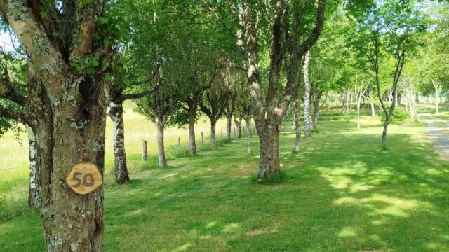 emplacement-cote-prairie