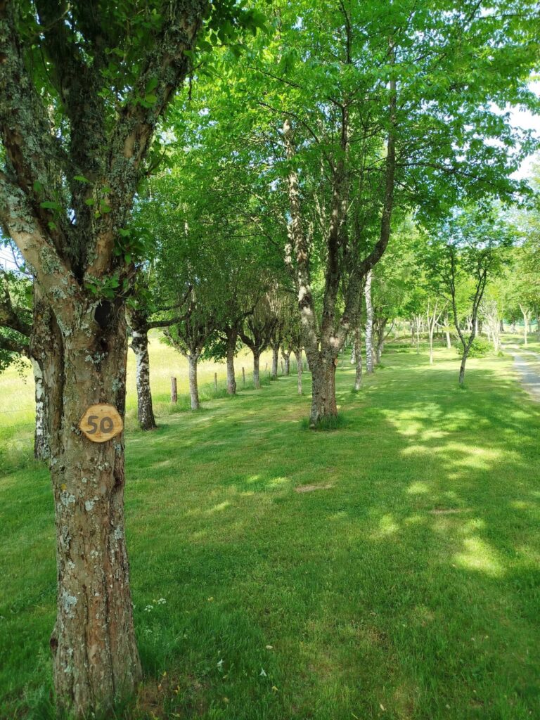 emplacement-cote-prairie